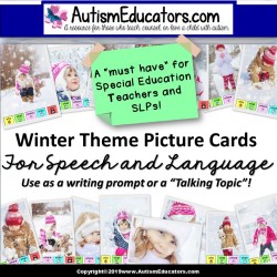WH Question Prompts Picture Cards WINTER THEME for Language and Writing